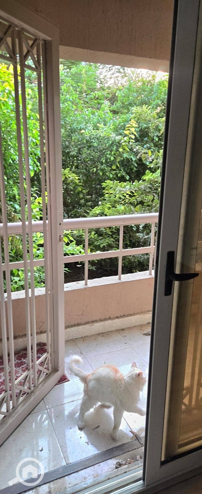 11 WhatsApp Image 2025-11-03 at 3.33. 16 PM (1). jpeg