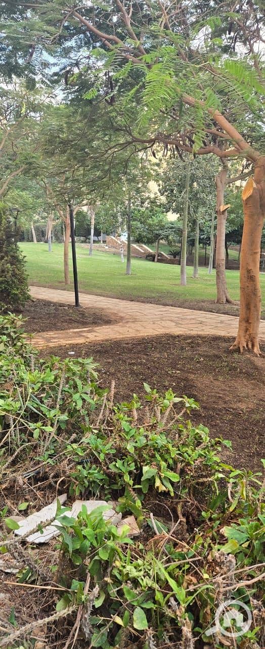 12 WhatsApp Image 2025-11-03 at 3.33. 16 PM. jpeg