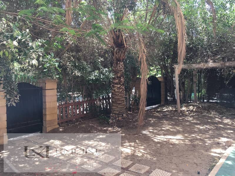 4 IMG-20251031-WA0025. jpg