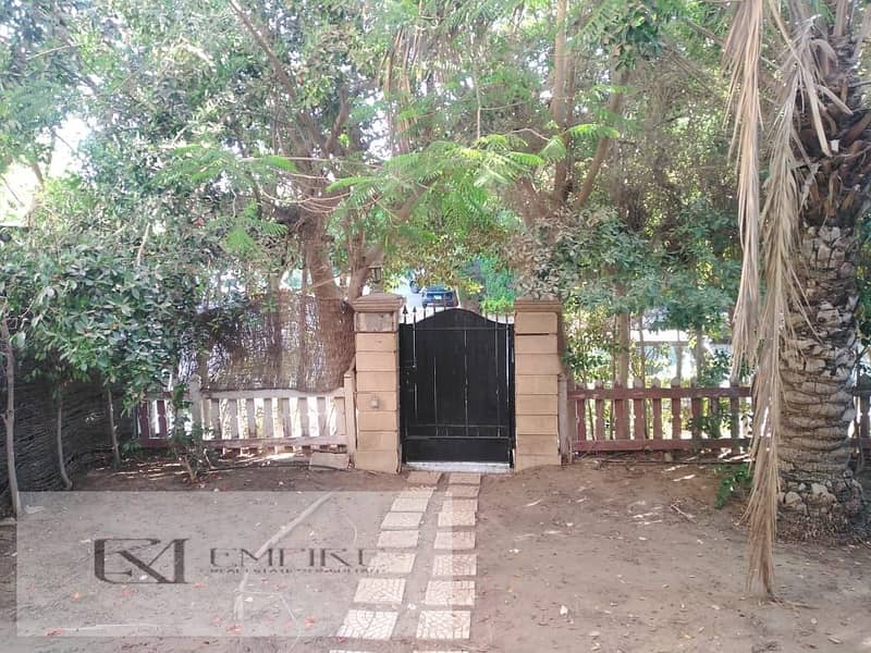 7 IMG-20251031-WA0028. jpg