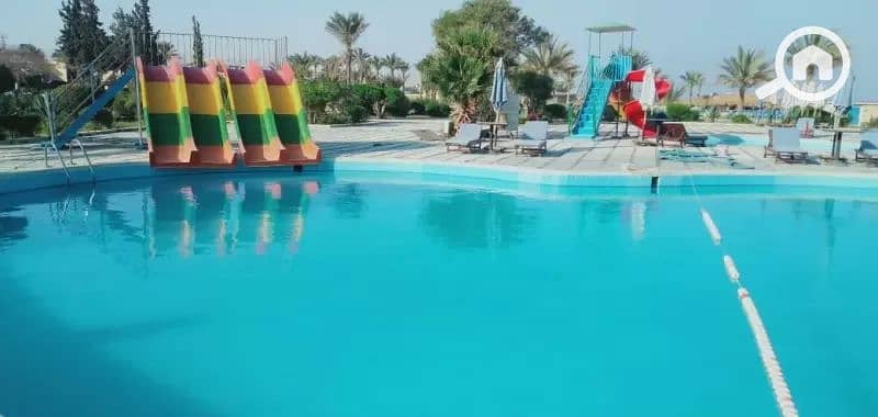 3 715961507-قرية-اميجو-العين-السخنة-المسبح. png