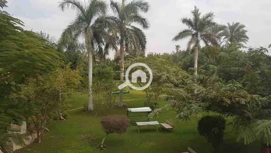 Agricultural for Sale in 6th of October, Giza - 1000162144. jpg