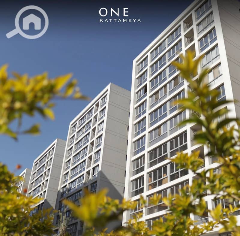 12 وان قطاميه     . jpg