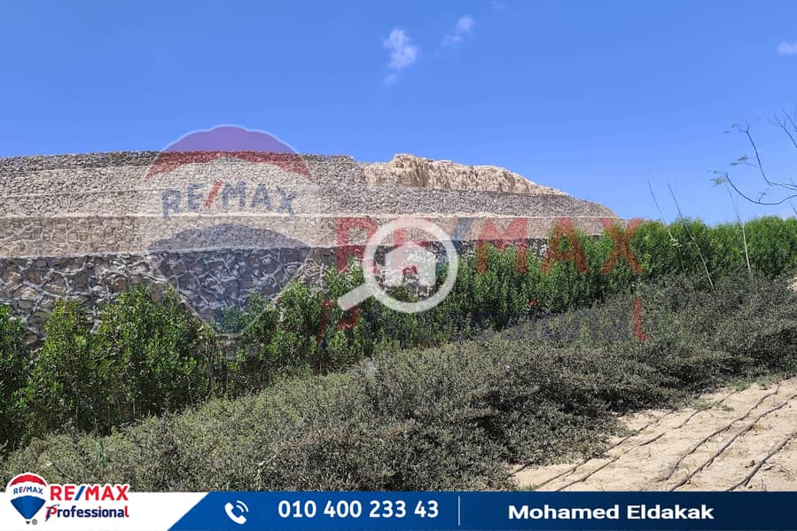 22 IMG_20250807_133039. jpg