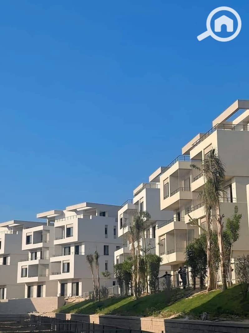 10 559027241_1131122895816632_1294498866416207921_n. jpg