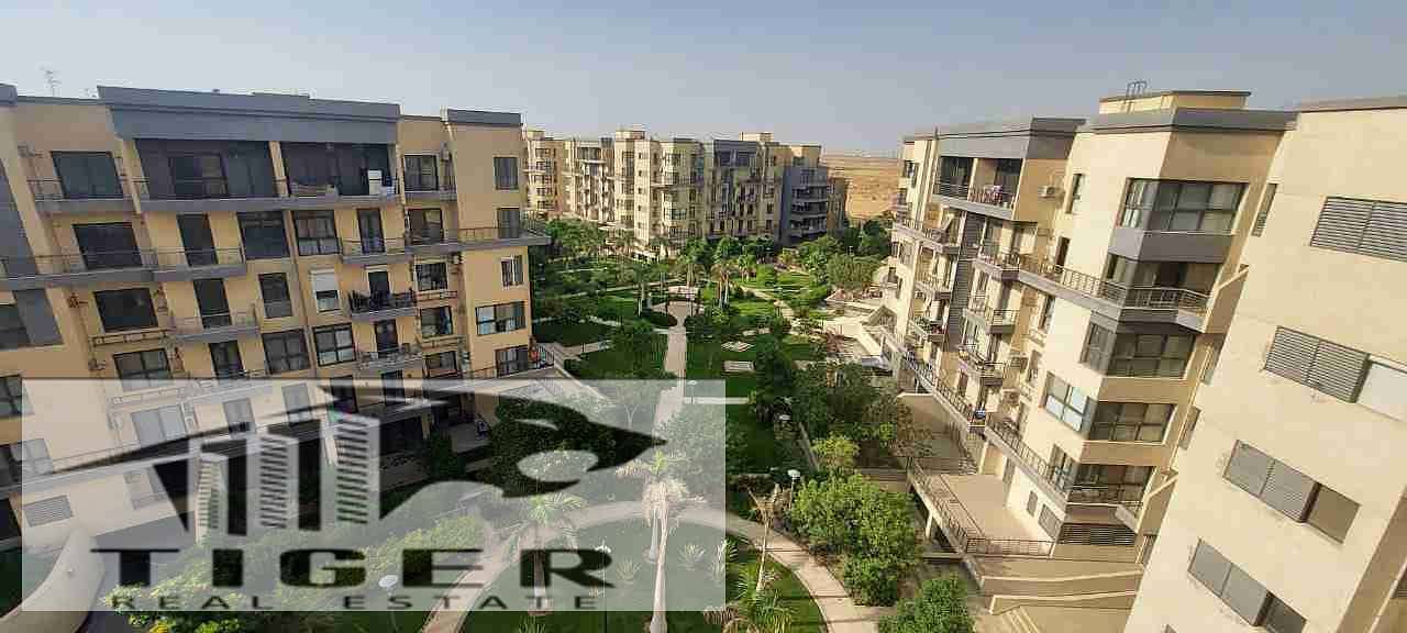 1000388469. jpg 1000388469. jpg