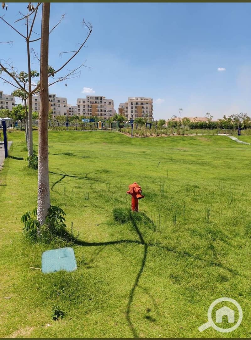 16 WhatsApp Image 2025-11-03 at 4.04. 24 PM. jpeg