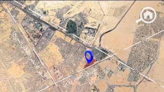 10 77e047e8-c450-40d5-9b6c-fb3e1c007728. jpg