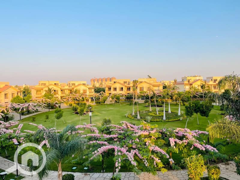 f1466d51-5358-45e9-92cd-33ac551a8a01. jpg f1466d51-5358-45e9-92cd-33ac551a8a01. jpg