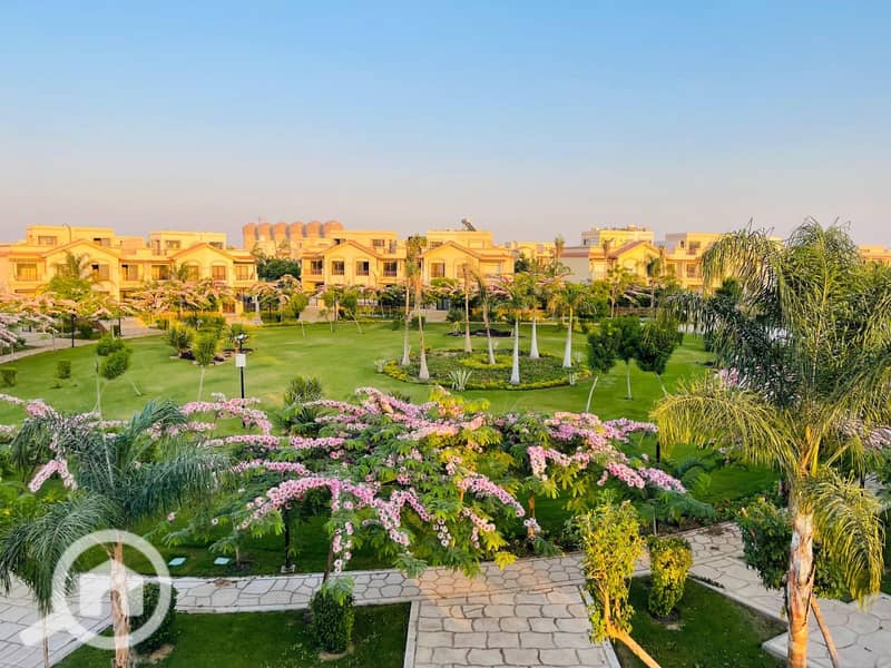 4 eaf22945-0f8b-4340-89d3-22bec91b2b3e (1). jpg