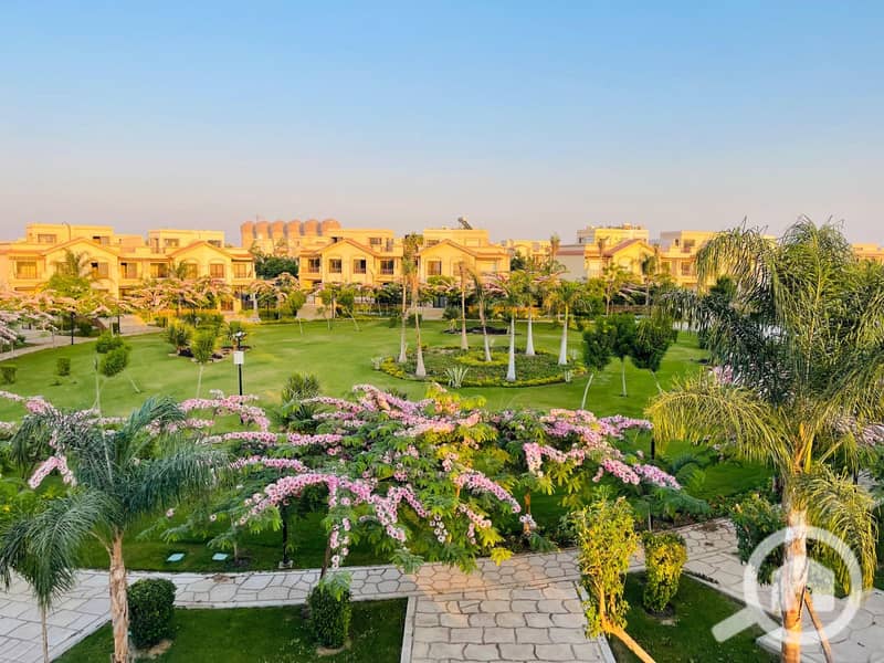 5 eaf22945-0f8b-4340-89d3-22bec91b2b3e. jpg