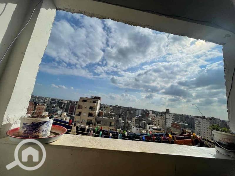 12 df4e88c4-f6d4-4aad-8525-1aaaccfa1547. jpg