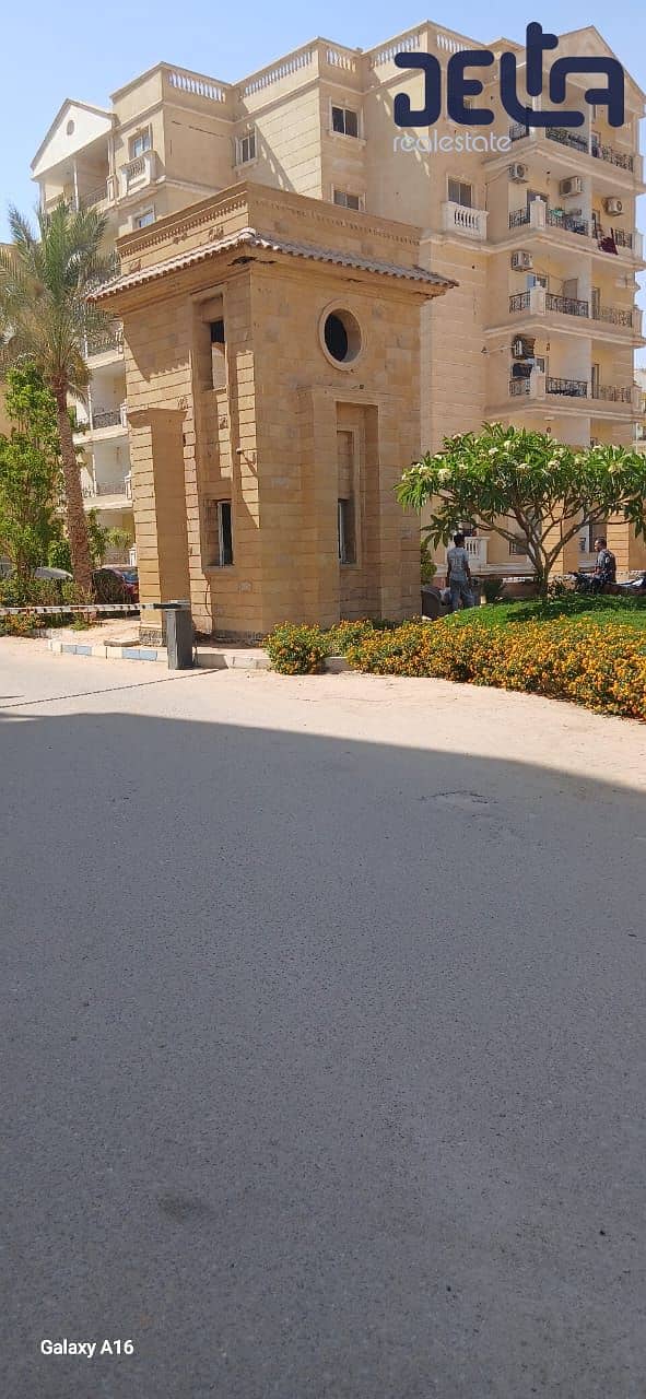 3 407d13d2-5c46-4e41-ad86-05cf87f5ed37. jpg