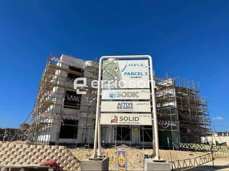 11 Untitled design (2). jpg