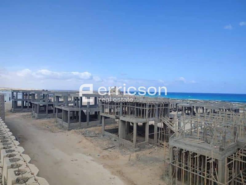 12 Untitled design (3). jpg