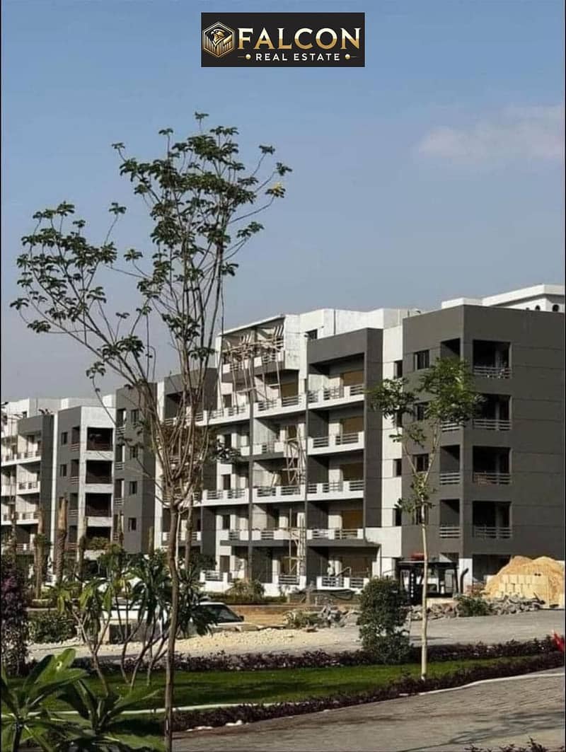 2 WhatsApp Image 2025-09-06 at 17.19. 06 (1). jpeg