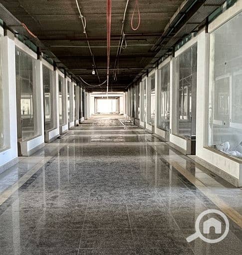 7 Generated Image September 15, 2025 - 2_26PM. png