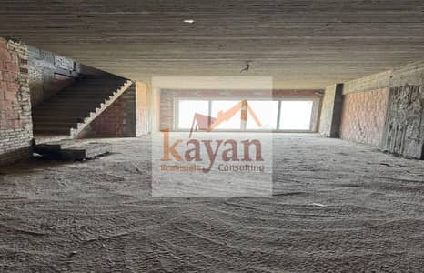 4 Bedroom iVilla for Sale in New Cairo, Cairo - WhatsApp Image 2025-11-03 at 4.39. 51 PM (1). jpeg