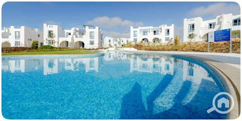 4 76ce5af4-dc8c-4cda-8037-c9187a4cb76a. jpeg