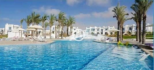 5 777e1bb0-71bc-4f9e-98f6-76a249179040. jpeg