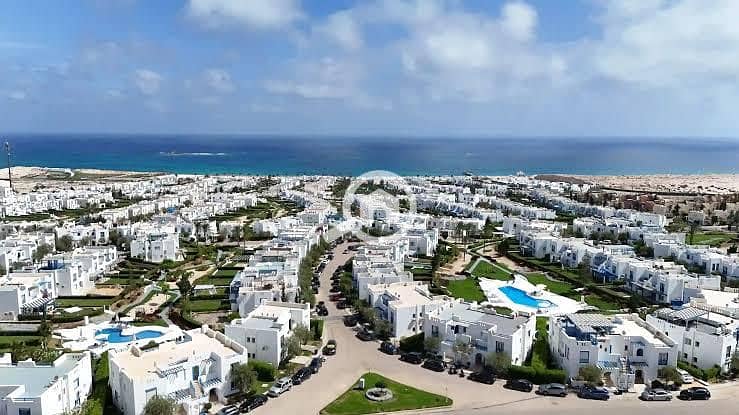 7 94ee3810-44a0-4d05-9c0b-8b765b8ad7d1. jpeg