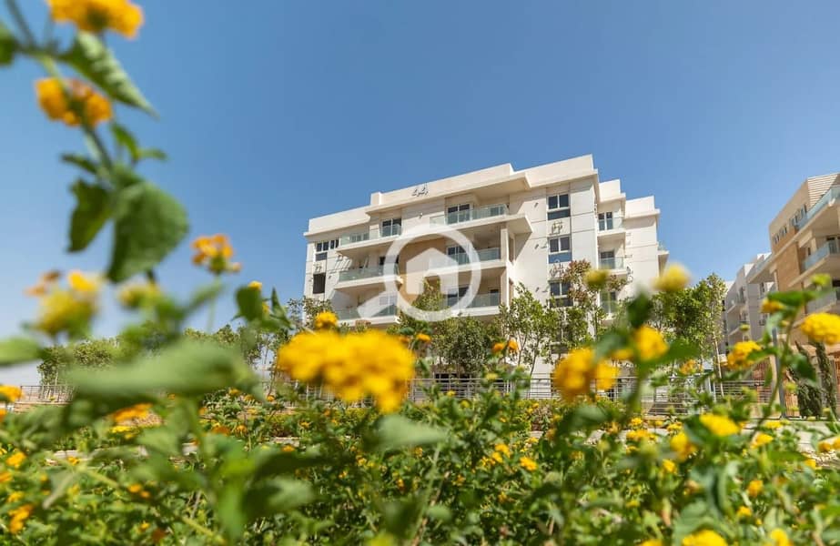 12 WhatsApp Image 2025-11-03 at 4.18. 51 PM (1). jpeg