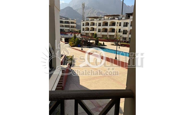 شالية-مميز-للبيع-قرية-دولفين-بيتش-العين-السخنة- (1). JPG شالية-مميز-للبيع-قرية-دولفين-بيتش-العين-السخنة- (1). JPG