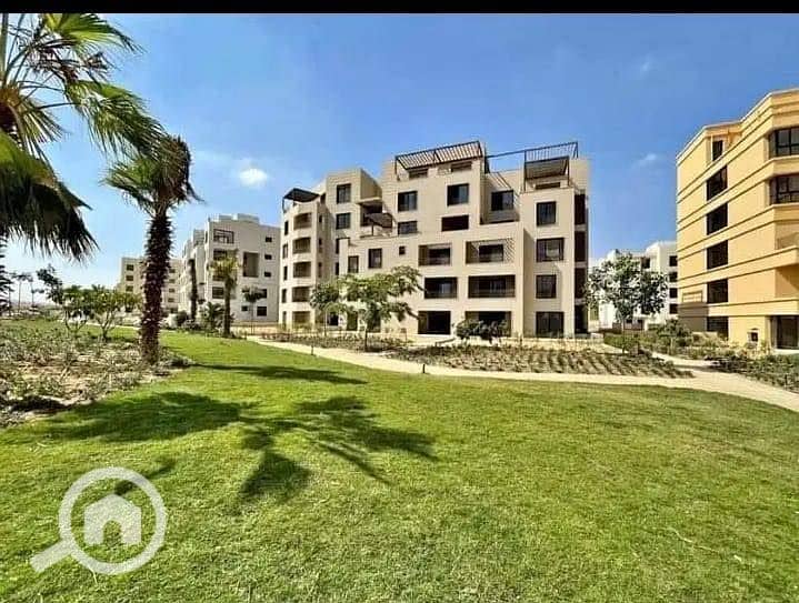 9 557589791_122159353352782987_6113225474457099593_n. jpg