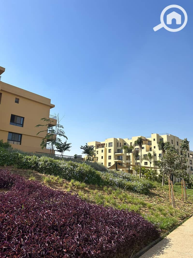 9 557738589_4114944725429689_2599368503087339140_n. jpg