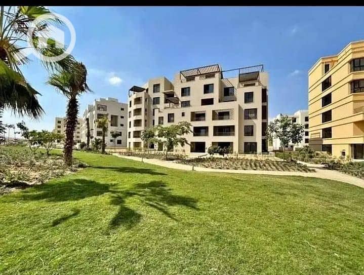 10 557589791_122159353352782987_6113225474457099593_n. jpg