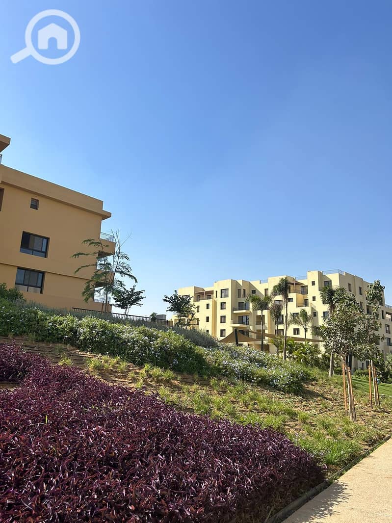 9 557738589_4114944725429689_2599368503087339140_n. jpg