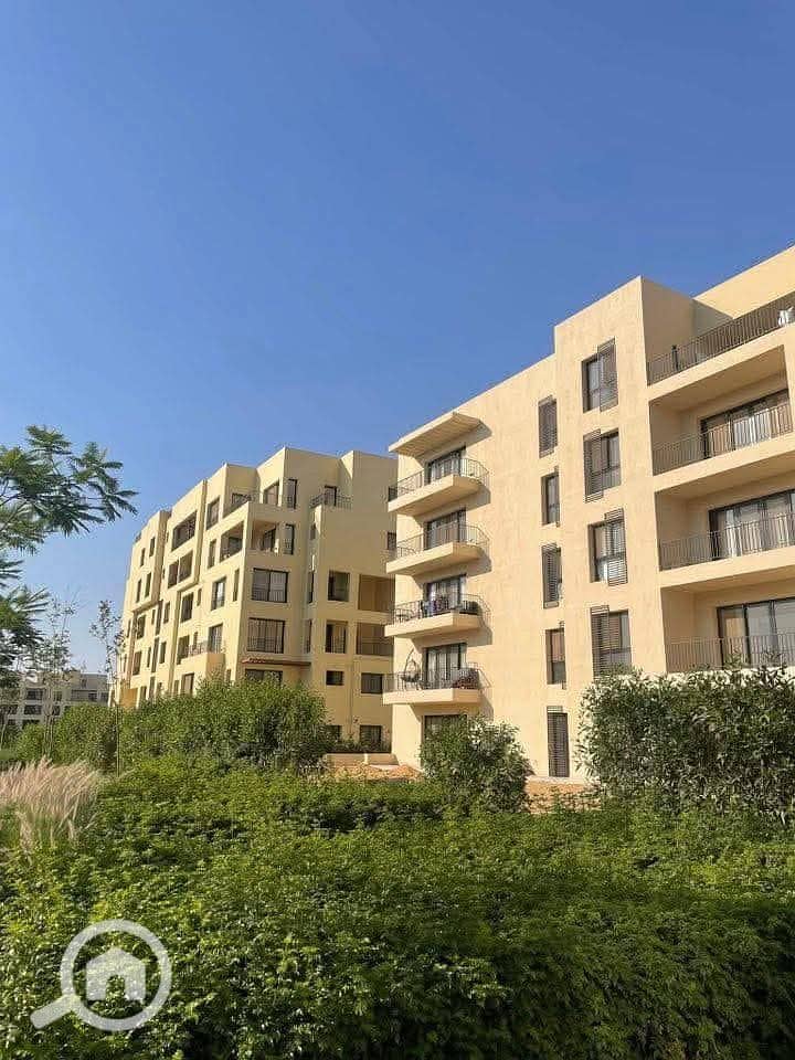 10 558894728_122232637928174827_3899327255081254482_n. jpg