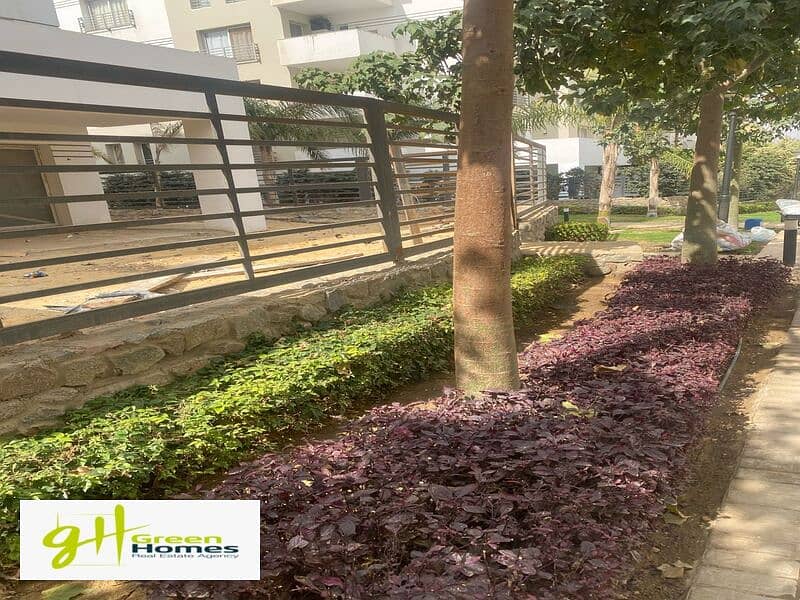 16 WhatsApp Image 2025-07-16 at 4.30. 29 PM (4). jpeg