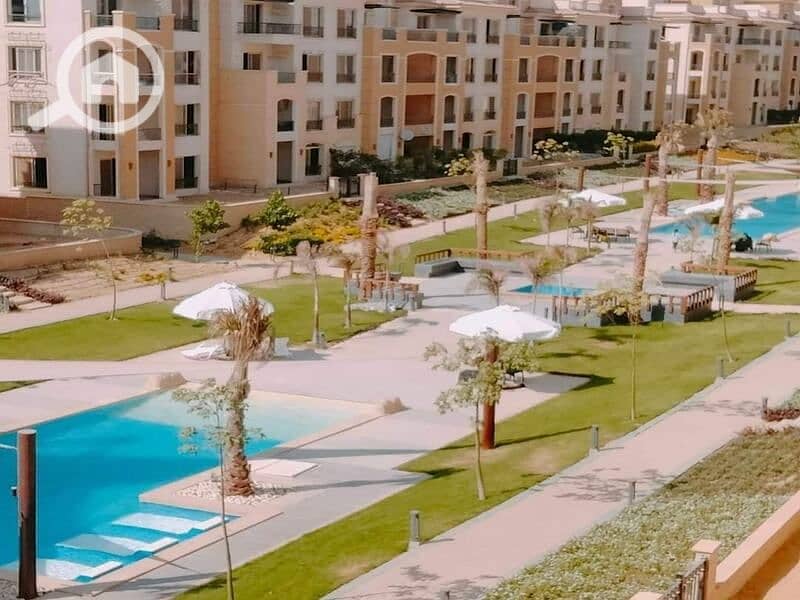 5 375598462_3537256753214283_7148493549569409291_n. jpg