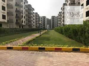 663233eae82c8822921224. jpg