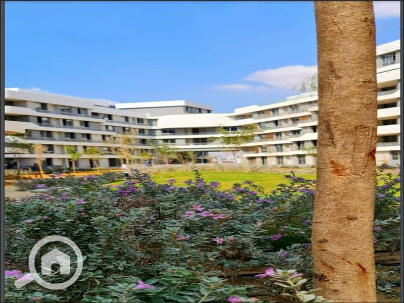 3 WhatsApp Image 2025-10-19 at 15.30. 11. jpeg