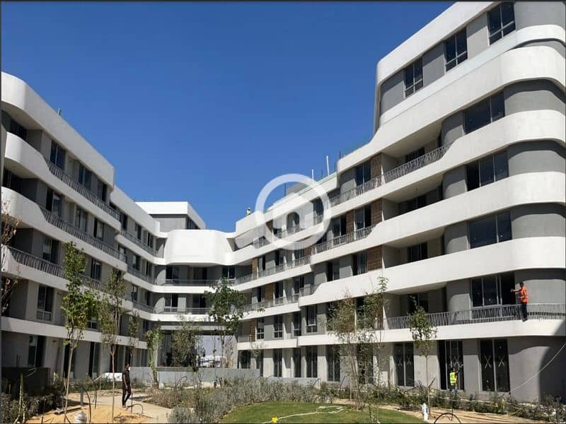 5 WhatsApp Image 2025-10-19 at 15.30. 13 (2). jpeg