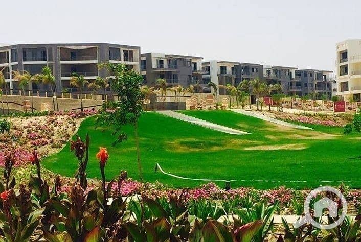 8 33030755_625604284467692_3363512288202981376_n. jpg