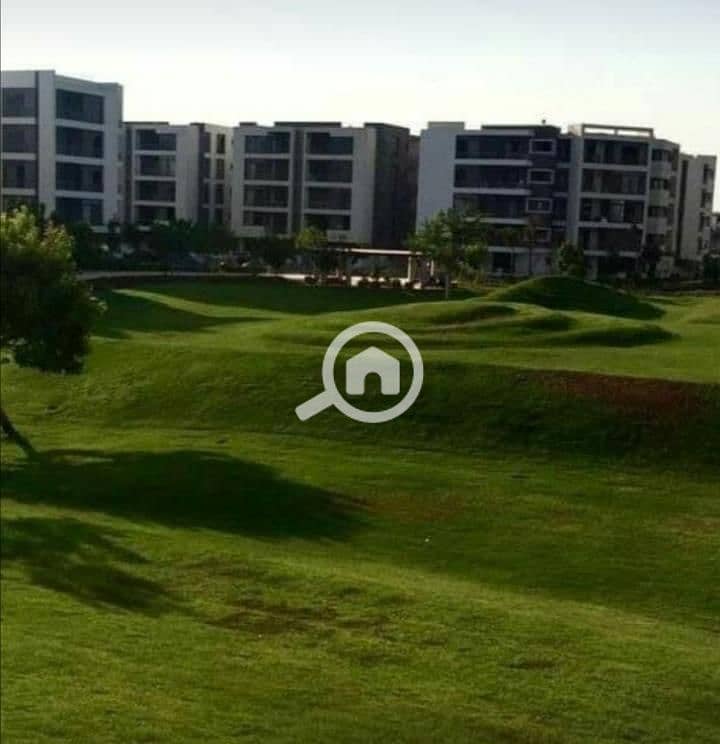 9 1a79f3db-e25b-4c9d-9395-dfd75624d0cf. jpg