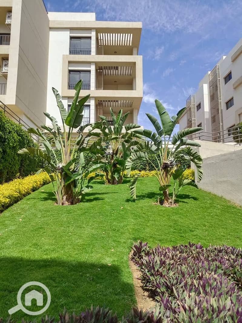 11 548191925_122232096014155722_9013448144835906075_n. jpg