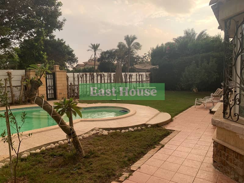 f1e418b2-7c28-49f2-9267-bb1056f006a3. jpeg