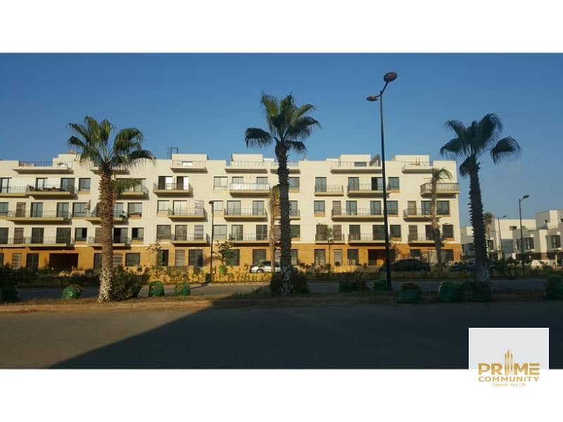 20181106_155654. jpg