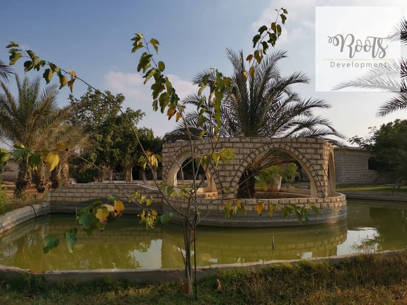 6 WhatsApp Image 2025-11-01 at 10.37. 18 (1). jpeg