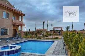 10 download (4). jpg