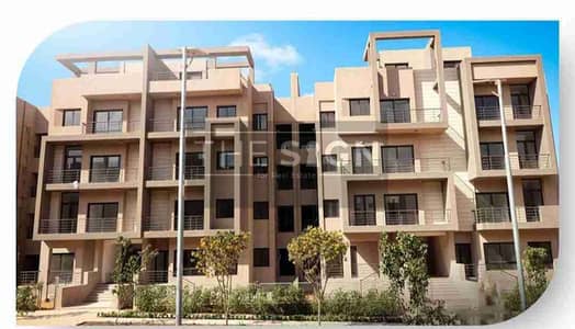 3 Bedroom Flat for Rent in New Cairo, Cairo - 1000202514. jpg