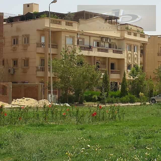 3 c05055d5-4425-4873-9699-a4d5be230d3b. jpeg