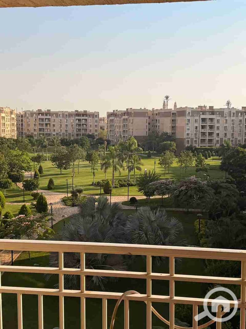 1000524124. jpg 1000524124. jpg