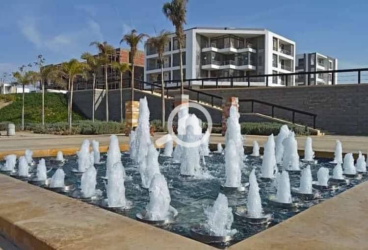 3 aca1a8d5-7fa3-49ec-821e-a6725dbc3033. jpg