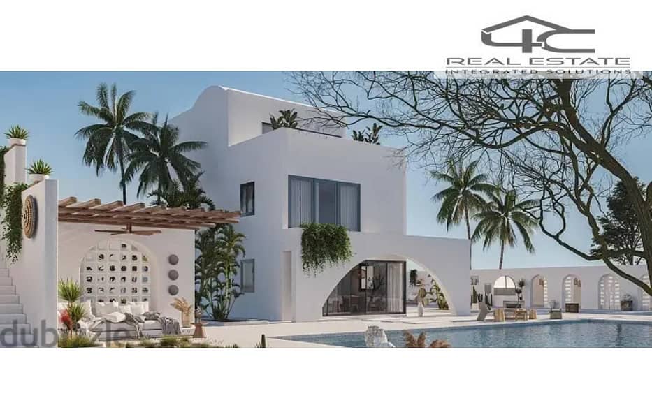 6 97091867-800x600. jpg