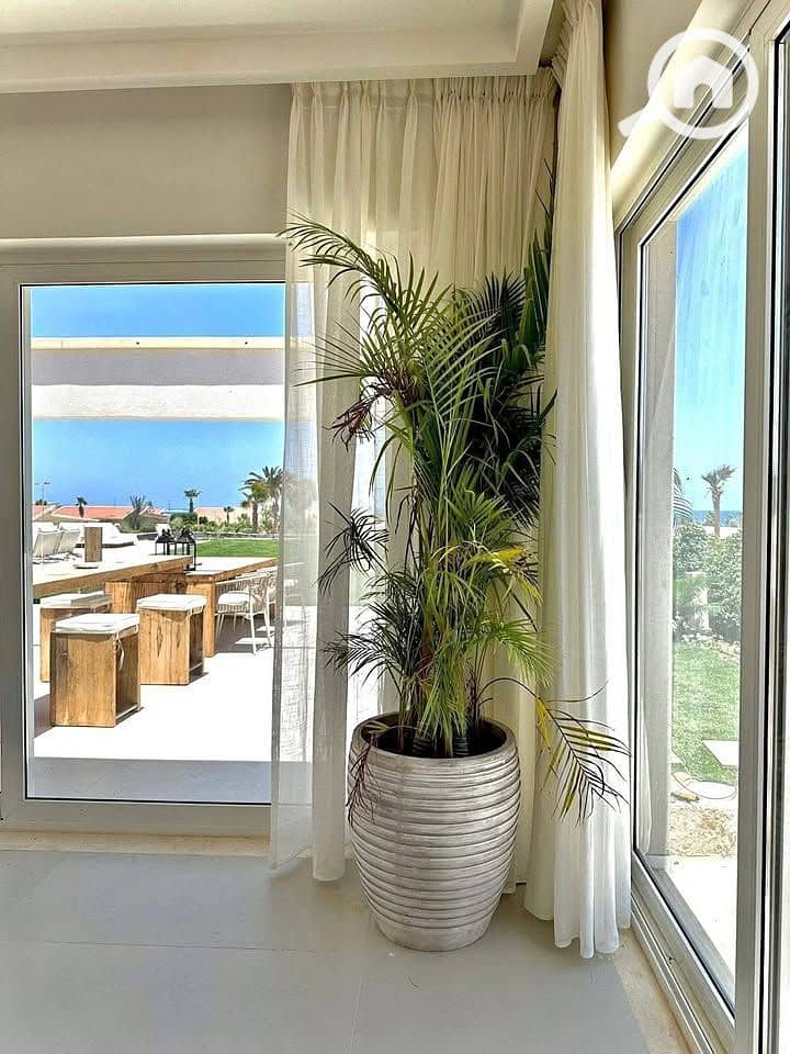 4 518870579_1434390168015717_487634430481696335_n. jpg